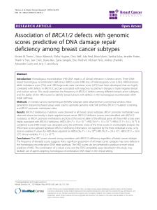 BRCA1/2 Defects and HRD Scores in Breast Cancer