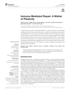 Immune-Mediated Repair: A Matter of Plasticity