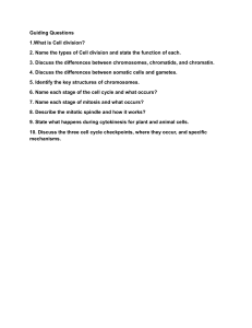 Cell Division Study Guide Questions