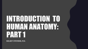Intro to Human Anatomy Part 1 Slides