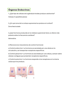 Gu&iacute;a de Estudio del Sistema Endocrino
