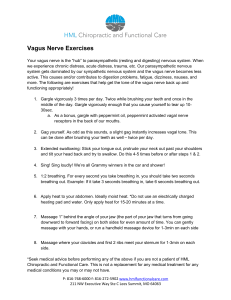 Vagus Nerve Exercises Guide