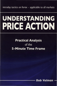 Understanding Price Action: 5-Minute Forex Tactics