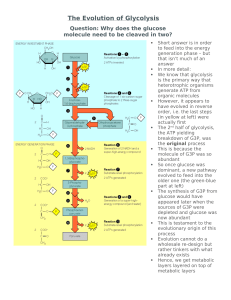 Evolution of Glycolysis Explained