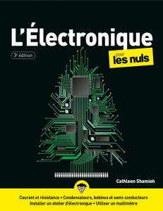 &Eacute;lectronique pour les Nuls: Guide Complet