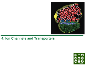 Ion Channels & Transporters Lecture