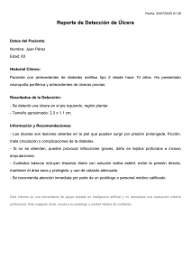 Informe de Detecci&oacute;n de &Uacute;lcera en Pie Diab&eacute;tico