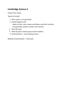Cambridge Science 3 Plants Project