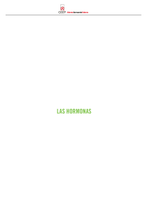 Gu&iacute;a del Sistema Endocrino y Hormonas