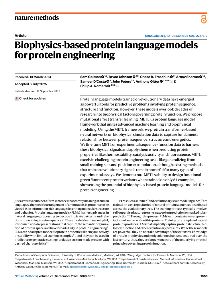 Biophysics-Based Protein Language Models
