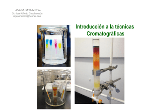 Introducci&oacute;n a T&eacute;cnicas Cromatogr&aacute;ficas