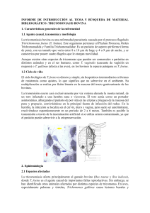Tricomoniasis Bovina: Diagn&oacute;stico y Control