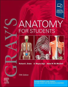 Gray's Anatomy for Students 5th Edition