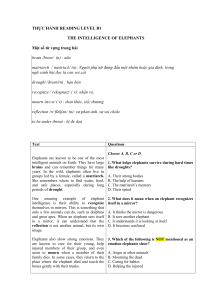 Elephants Intelligence B1 Reading