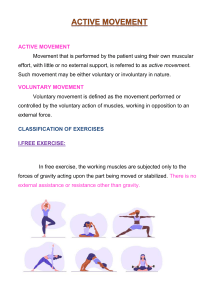 Physiotherapy Guide: Active Movement and Free Exercises