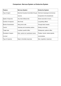 Nervous vs Endocrine System: A Comparative Guide