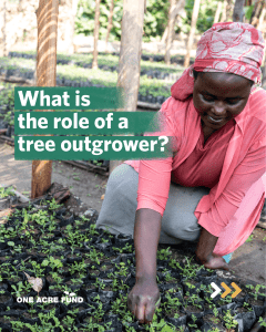 Role of a Tree Outgrower: Income & Resilience