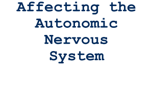 Autonomic Nervous System & Cholinergic Drugs Guide