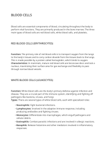 Guide to Blood Cells: RBCs, WBCs, and Platelets