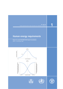 Human Energy Requirements Report