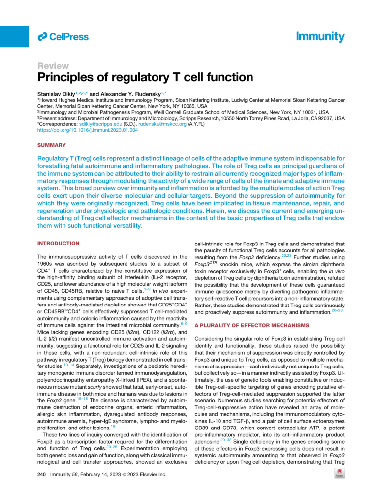 Regulatory T Cell Function Principles