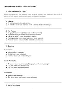 Descriptive Essay Guide for Cambridge Stage 9 English