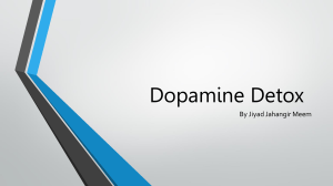 Dopamine Detox Guide: Understanding and Managing Brain Chemistry