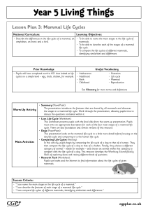 Year 5 Lesson Plan: Mammal Life Cycles | KS2 Science