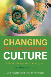 Changing Organizational Culture: Cultural Change Work