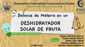 Balance de Materia en Deshidratador Solar de Fruta