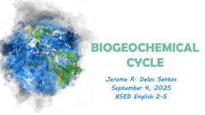 Understanding Biogeochemical Cycles