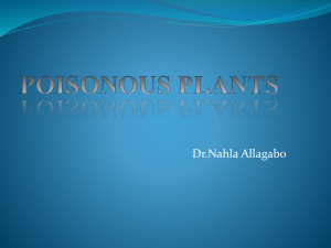 Plant Toxicology Principles & Chemistry