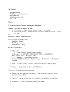 AP 1 Exam 1 Study Guide