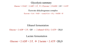 Organic Chemistry & Biochemistry Lecture Notes