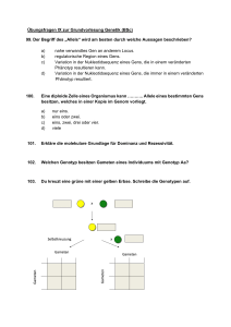 Genetik &Uuml;bungsfragen: Allele & Vererbung