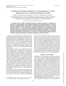 Pseudomonas Mineralizes Atrazine