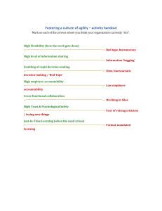 Agility Culture Activity Handout