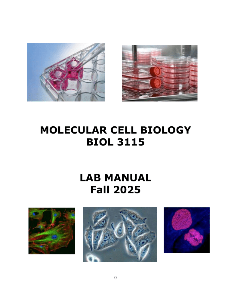 Molecular Cell Biology Lab Manual 2025
