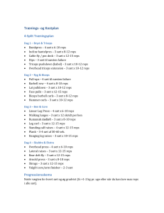 4-Split Tr&aelig;ningsplan og Kostguide