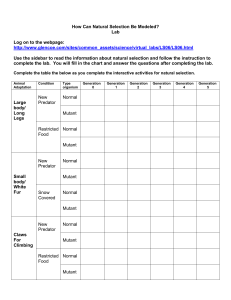 Natural Selection Lab Worksheet