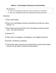 Evidence for Evolution Lab Worksheet