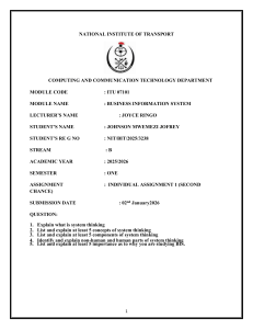 Business Information Systems Assignment