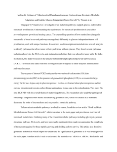 Critique: PCK2 and Tumor Metabolism
