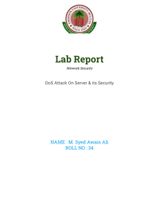 Lab Report: DoS Attack on Server & Security