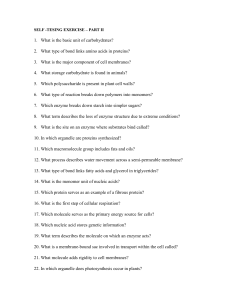 Biology Biochemistry Self-Test Exercise