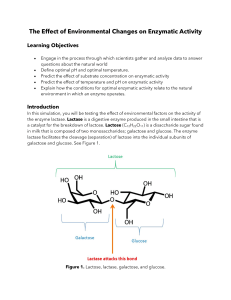Enzyme Activity Lab Simulation Guide