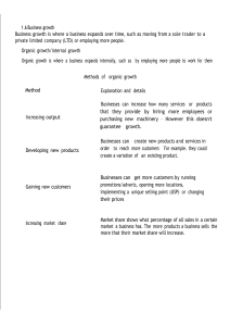 Business Growth: Organic and External Strategies