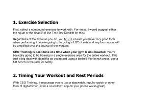 CEO Training Guide for Mass Building