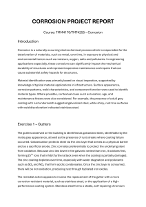 Corrosion Project Report Analysis