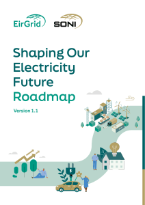 Ireland Electricity Future Roadmap 2030